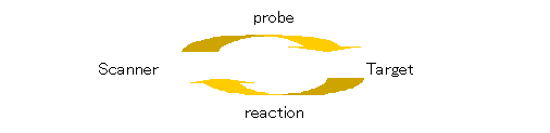 Minimal action of SCAN
