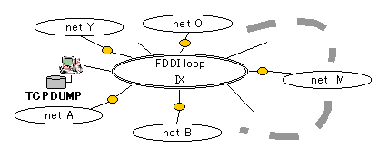 Environment of experiment